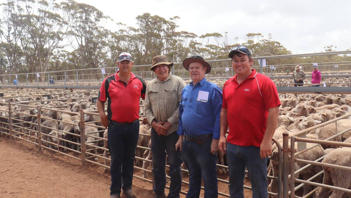 Elders Mingenew's Ross Tyndale-Powell (left), Wade Roberts, Dandaragan, Mike Oldham and Elders Mooras Dean McCuish, got together before the sale to inspect the lines on offer.