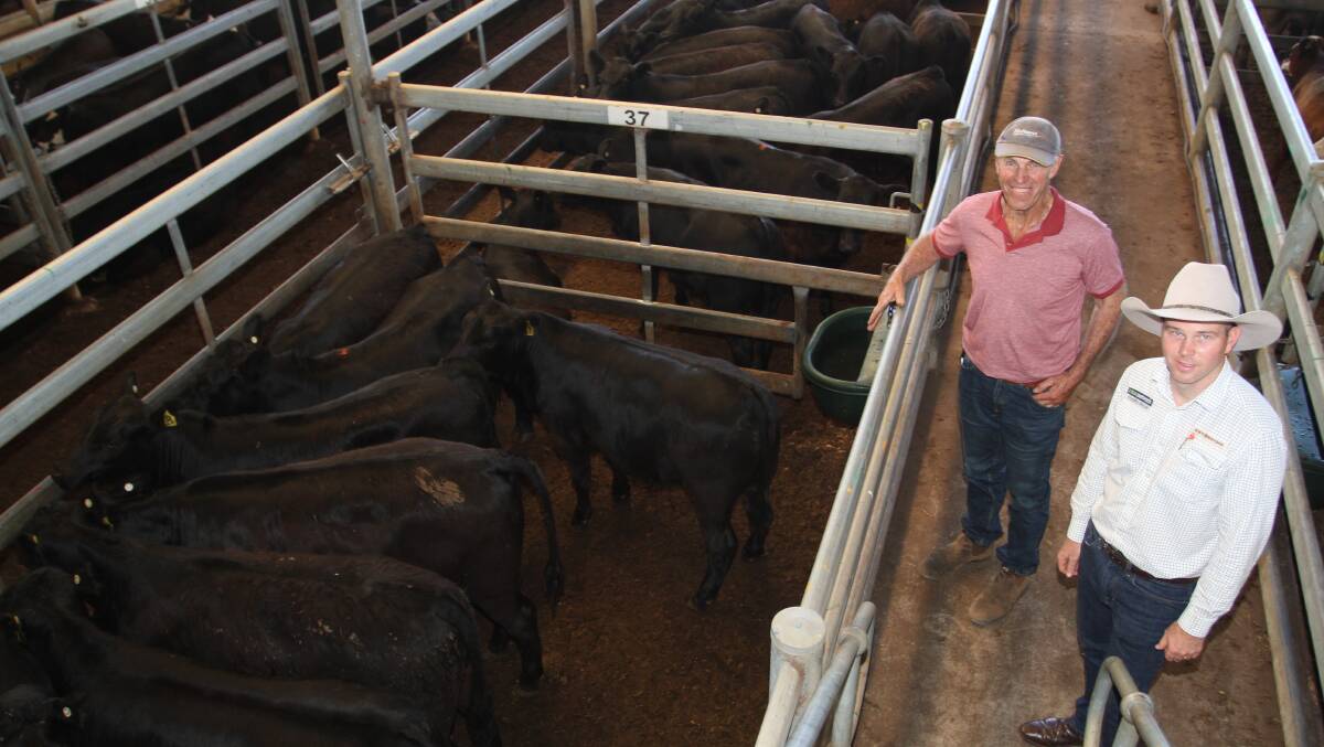 Sale vendor Peter Bates (left), JH & JM Bates, Mundijong and Cam Petricevich, S & C Livestock, look over the Bates family's Angus steers that sold to $1433 and 460c/kg.