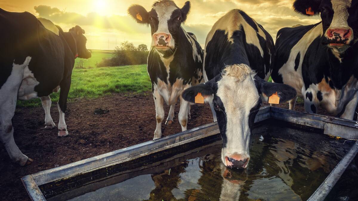 Coles signs last WA dairy supply deals