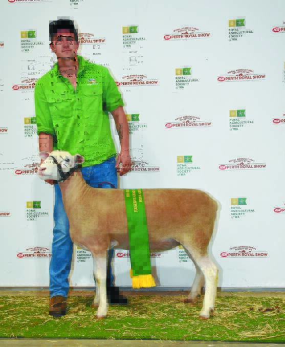 With the reserve British, Australasian and other breeds supreme champion ewe exhibited by the Yonga Downs White Suffolk stud, Gnowangerup, was stud principal Brenton Addis.