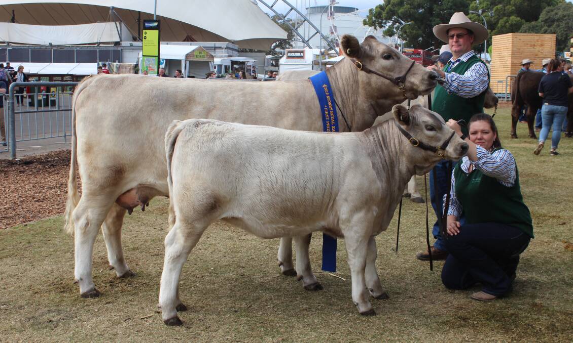 A stylish two-year-old, Willawa Greys Noelle N13, with five month heifer calf at foot, won the Murray Grey female class for females over 24 month and not over 30 months. Handling the cow and calf were Doug Giles (left), Newdegate and Laura Grubb, Brisbane, Queensland.