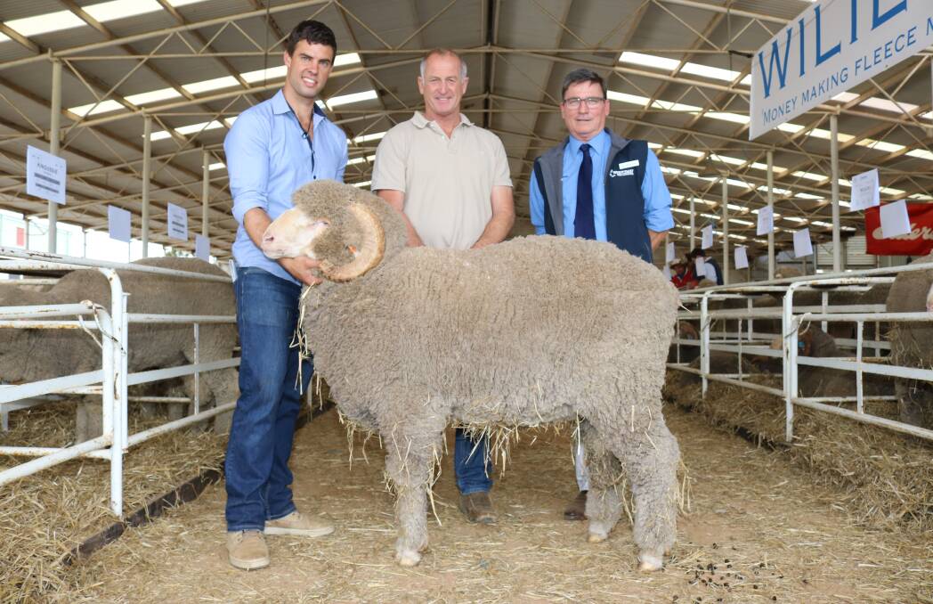 Wililoo stud co-principal Rick Wise (left) holding the $3000 top-priced Wililoo ram with buyer Bill Bailey, Needilup and Westcoast Wool & Livestock auctioneer Gerald Wetherall.