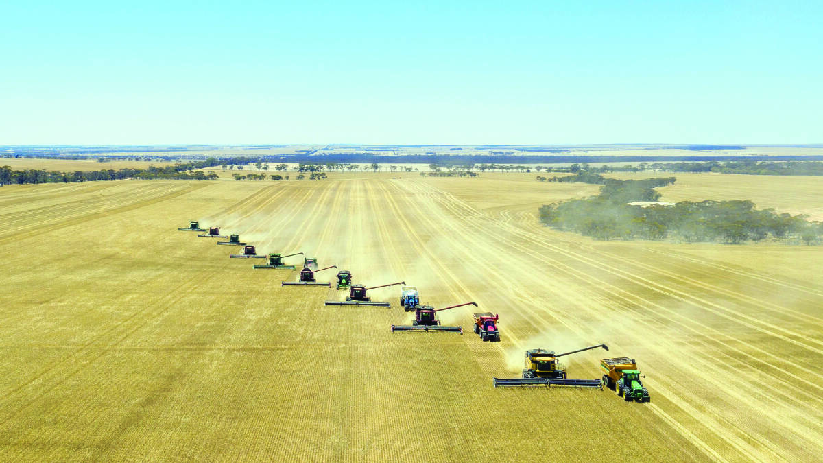 Nine headers, five chaser bins, supporting trucks and a whole lot of labour and love from the community led to a successful harvest for the Newdegate Community Cropping Group. Photos by Joseph Butcher, Newdegate.