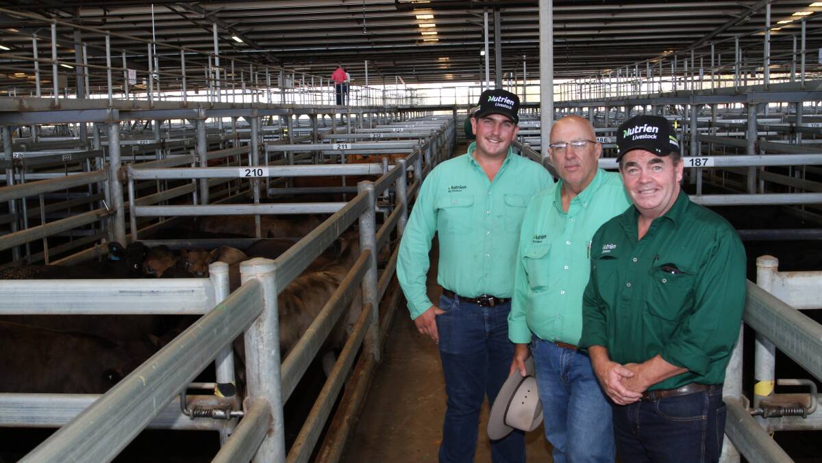 Nutrien Livestock trainee Thomas Spencer (left), Nutrien Livestock South West livestock manager Mark McKay and Nutrien Livestock, Boyup Brook agent Jamie Abbs, who provided South West buying support at the sale.
