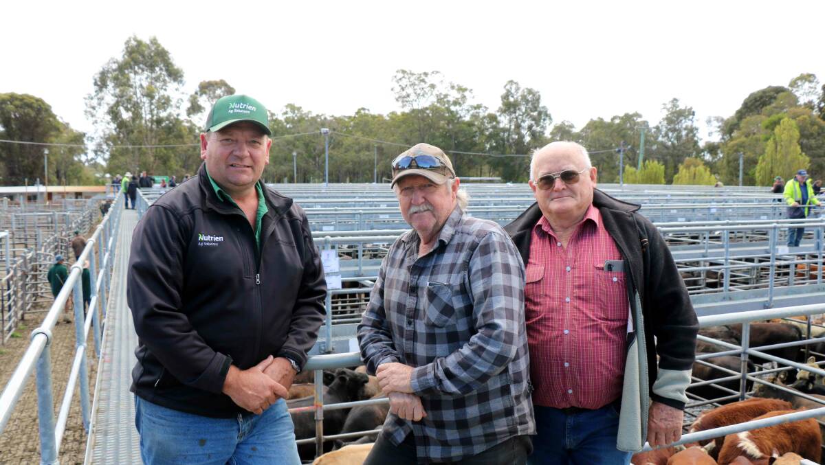 Nutrien Livestock Manjimup representative Brett Chatley (left), Gavin Watts, Treeton and Geoff Willis, Capel, were among the interested cattlemen at the Boyanup sale.