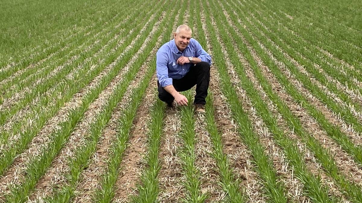 ADAMA Australia portfolio manager  fungicides, Matt Sherriff, says new Maxentis and Proviso fungicides will take the headache out of disease management for many canola and cereal growers.