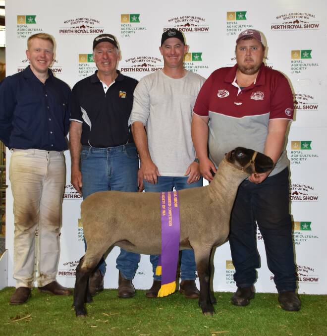 The supreme and grand champion ASSBA ewe was this South Suffolk ewe exhibited by the Pettison Park stud, Quairading.With the ram were judges Thomas O'Neill (left), Boyup Brook, Jim Glover, Boyup Brook and Colin Holmes, Hyden and stud co-principal Shaun Simpson.