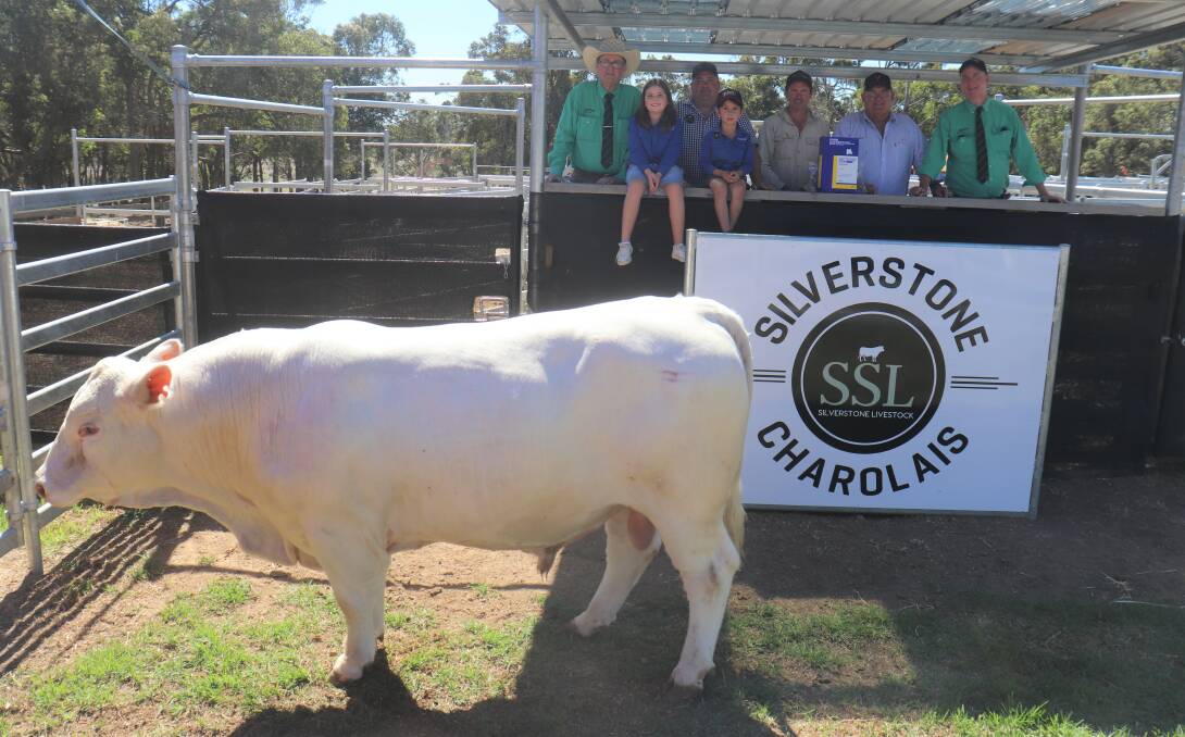 Nutrien Livestock auctioneer Tiny Holly (left), Silverstone stud principal Jon Imberti with children Mia and Ari, top price buyer David Reid, Nillup, Ben Fletcher, Zoetis and Nutrien Livestock, Albany representative Michael Lynch, with the $13,000 top-priced bull at last week's Silverstone Charolais on-property bull sale at Narrikup.
