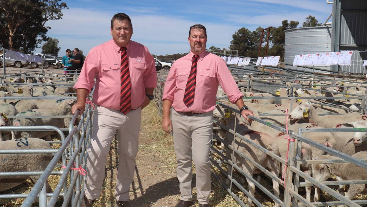 Newly-appointed Elders WA stud stock manager Nathan King (right), with out going manager Tim Spicer, who will continued on with Elders in the role of an Elders stud stock specialist. Mr King took over the role as manager on April 1.