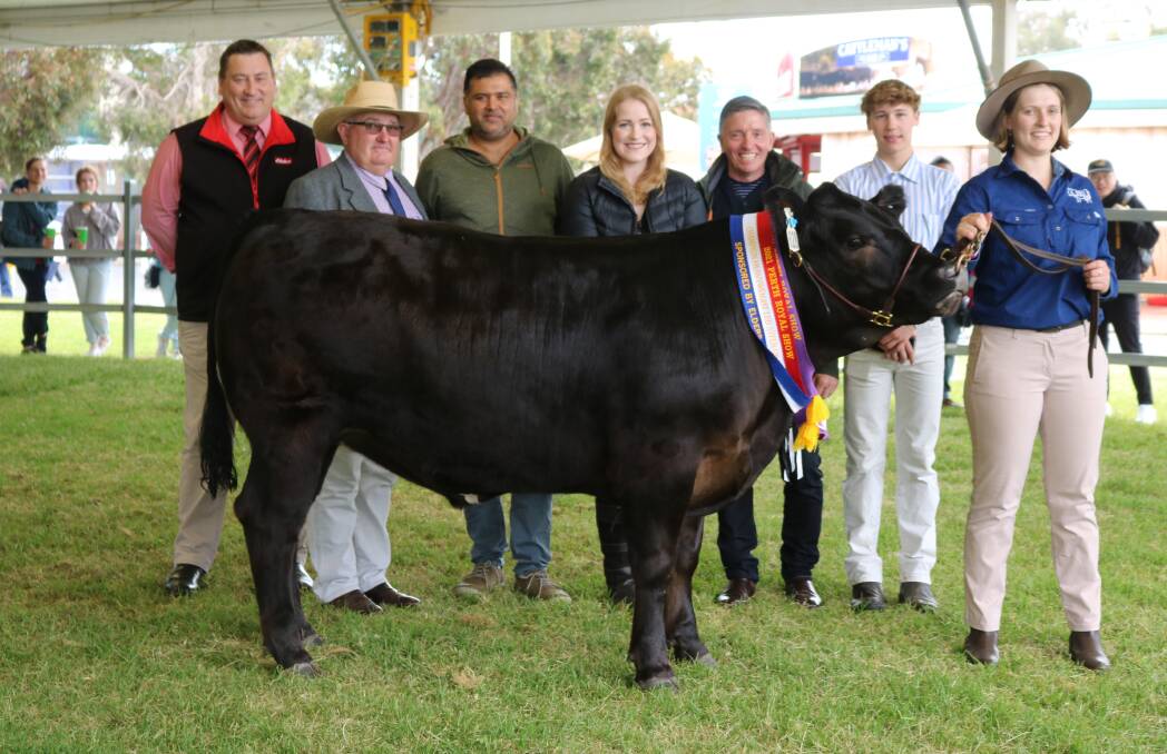 With the champion heavyweight and grand champion led steer or heifer of the show, a 512kg Limousin-Murray Grey steer bred and exhibited by Murdoch University were award sponsor Tim Spicer (left), Elders Limited, judge Wayne Mitchell, Elders Albany and Murdoch University connections, strategy and operations director Aman Alagh, strategy and commercial operations senior manager Liz West, college deputy vice chancellor Professor Grant O'Neill and second year veterinary medicine students Jai Thomas and Georgia Ward.