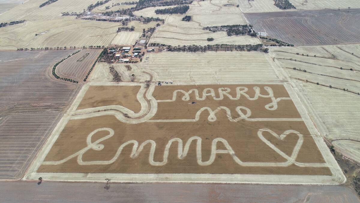 It wasnt all flat-strap during the 2018-2019 harvest, as Babakin farmer Brendan Boyd, 24, had time for romance when he surprised his partner Emma Starcevich, with the ultimate proposal in a grain field.