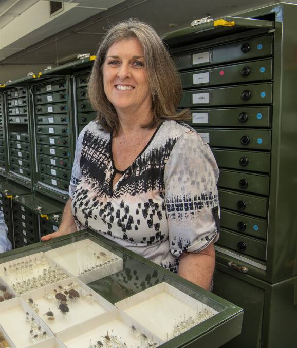 Entomologist and weed researcher Helen Spafford has joined the Department of Primary Industries and Regional Development based at Kununurra.