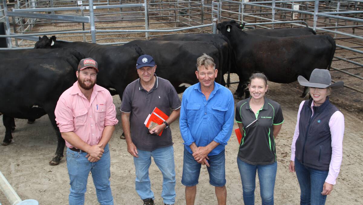 With the $2950 overall equal second top price and equal top price pen of Angus-Friesian heifers were Brendan Millar (left), Elders, Margaret River, buyer Ross Thornton, R & P Thornton, Denmark and vendors Darren (left) and Natalie Merritt and Aiyana Kirkwood, Elgin Farms Dairies, Elgin. The six heifers were synro AI joined to an Angus bull and due to calve from January 25 to February 10, 2024.