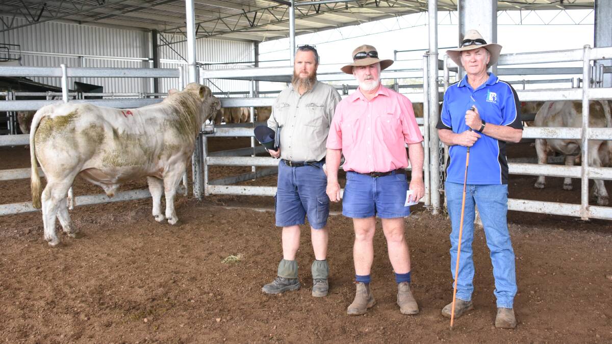 This bull Bardoo Q71E made the equal $10,000 top price at last week's Bardoo Charolais on-property bull sale at Elgin when it sold to MH Collins & Co, Nyabing. With the bull were Brendon Gardiner (left), MH Collins & Co, Elders, Capel representative Rob Gibbings and Bardoo principal Barry Bell.