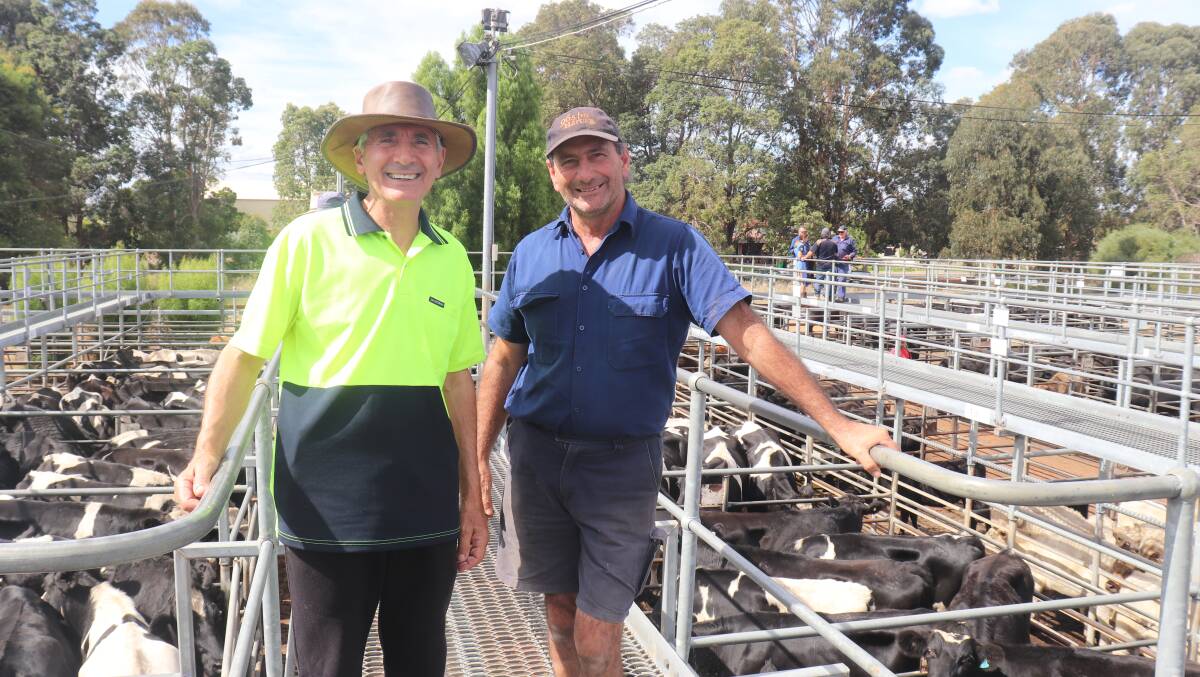 Laurie Sorgiovanni (left), Harvey and Tony Logrande, Harvey, enjoyed the day at the Boyanup saleyards.