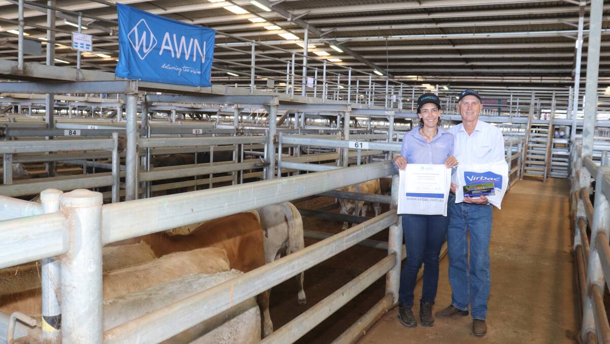 The second place Charolais sired heifer sash was awarded to GJ Elliott, North Dandalup, for their pen of nine which made 238c/kg and $872 later in the sale. With the pen of heifers is Virbac central WA area sales manager and sponsor Kylie Meloury and AWN Livestock WA cattle manager Phil Petricevich.