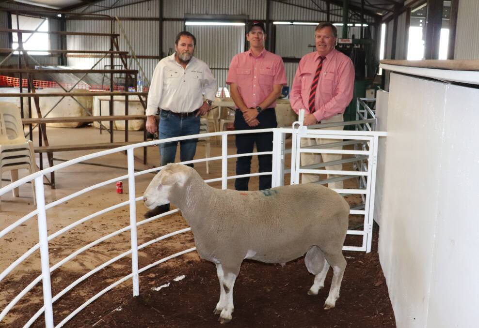The top-priced $4600 Mount Ronan Maternal Composite ram was purchased by Courtney Bourne, CJ & V Bourne Family Trust, Maxwell, New South Wales, via AuctionsPlus, in the background is Mount Ronan stud principal Guy Bowen (left), Elders Northam branch manager Chris Wood and auctioneer Graeme Curry.