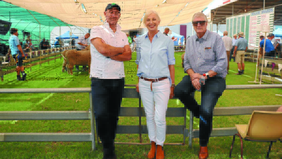 Australian Wool Innovation's chief executive officer Stuart McCullough (left), chairwoman Colette Garnsey and Western Australian director David Webster with the Merino judging in the background.