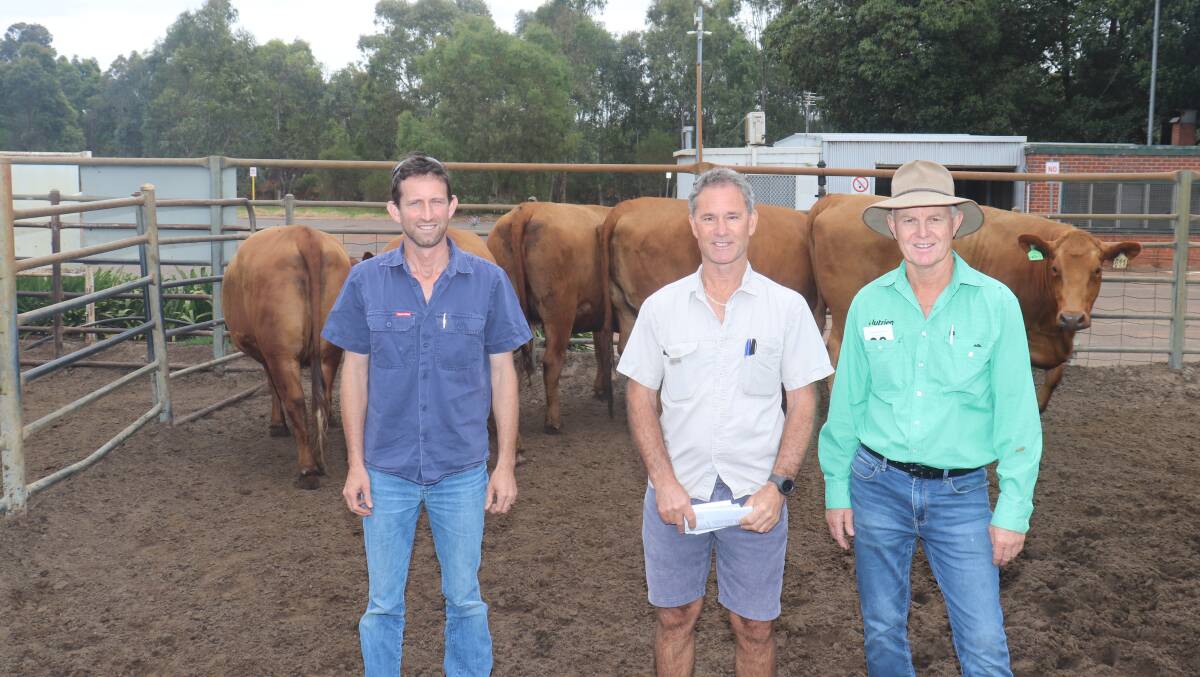 The other equal $3400 top-priced pen was also offered by Chapman Brook Pty Ltd, for five Red Angus heifers PTIC to Angus sires and with the heifers were vendor Steven Noakes (left), Chapman Brook Pty Ltd, buyer Mark Jolliffe, Jolliffe Family Trust, Wilyabrup and Nutrien Livestock Busselton/Margaret River agent Jock Embry.