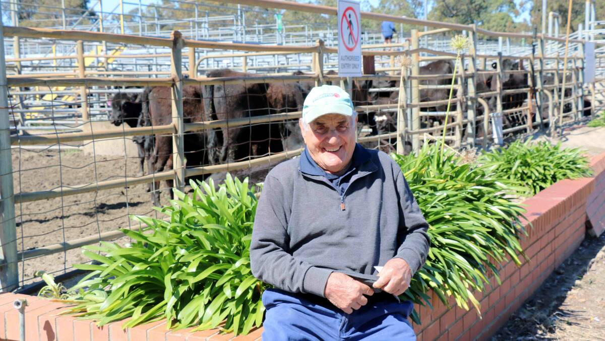 Syd Granucci, Manjimup, found a good spot in the sun before the Landmark store sale last week where he later bought young bucket-reared first cross heifers paying to $490.