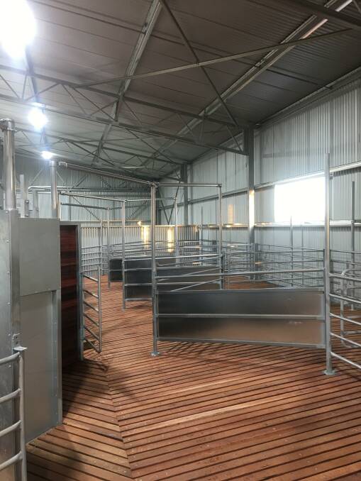 The new shed has a capacity to hold 800 mature sheep out of the weather and is designed to ensure easy movement of the sheep around the shed. (Photo Price's Fabrication & Steel, Williams).