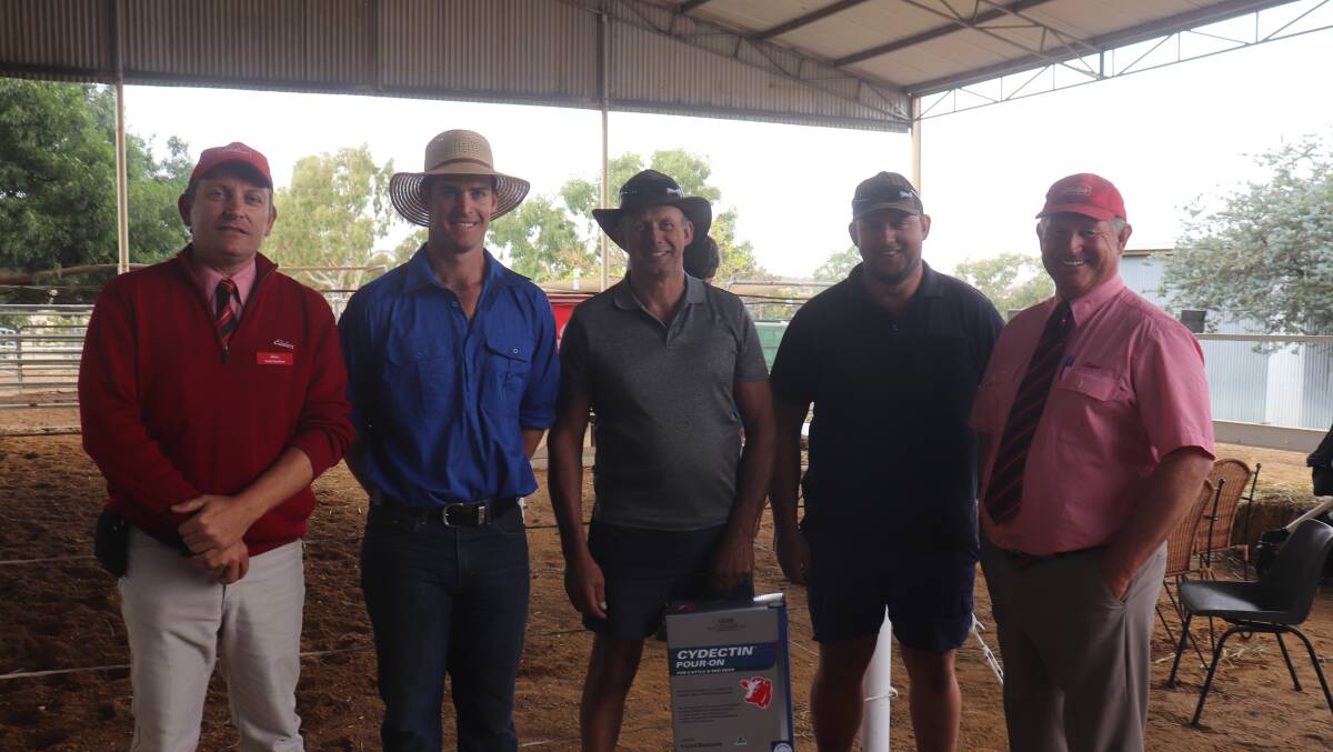 Elders Katanning farm supplies merchandise manager Keith Daddow (left), stud principal Kurt Wise, equal top price buyers Michael and Shaun Telini, Ferguson Valley and Elders Katanning agent Russell McKay. The Telinis received a box of Cydectin pour-on for placing the top bid of $7000.