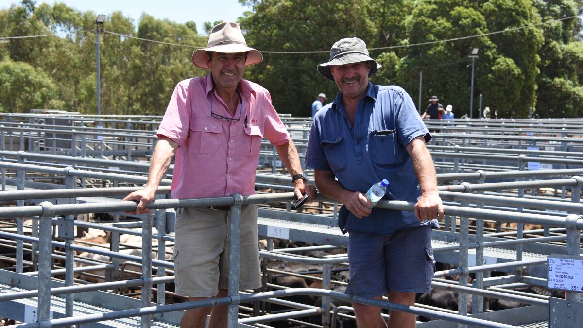 Elders, auctioneer and Margaret River agent Alec Williams (left), looked over the yarding with Phil Noakes, TR & IL Noakes, Witchcliffe. In the sale Mr Noakes purchased two pens of heifers.