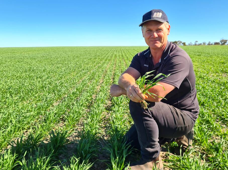 Brad West started his seeding program on April 16 and it took approximately six weeks, with two seeders at 18 metre spacings, running 24 hours a day, seven days a week, covering approximately 500ha a day.