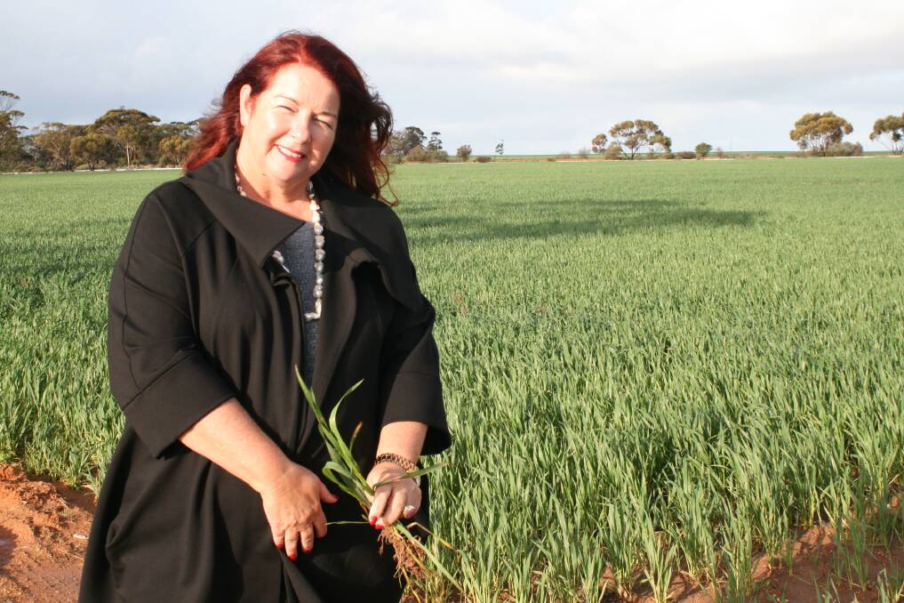 Liberal MP Melissa Price will retain her seat of Durack, despite a massive swing against her.