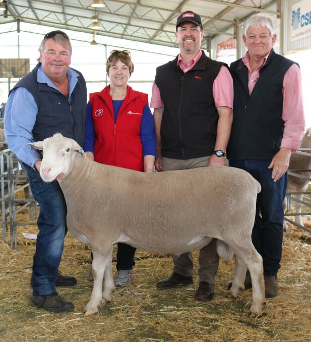 This Iveston White Suffolk sold for the second top meat breeds price of $3500 outlaid by Denam Carter, Ridgetop stud, Narrikup. With the ram were Iveston stud co-principals Grant (left) and Debbie Bingham, Williams, Elders auctioneer Nathan King and Graeme Alexander, Elders Williams.