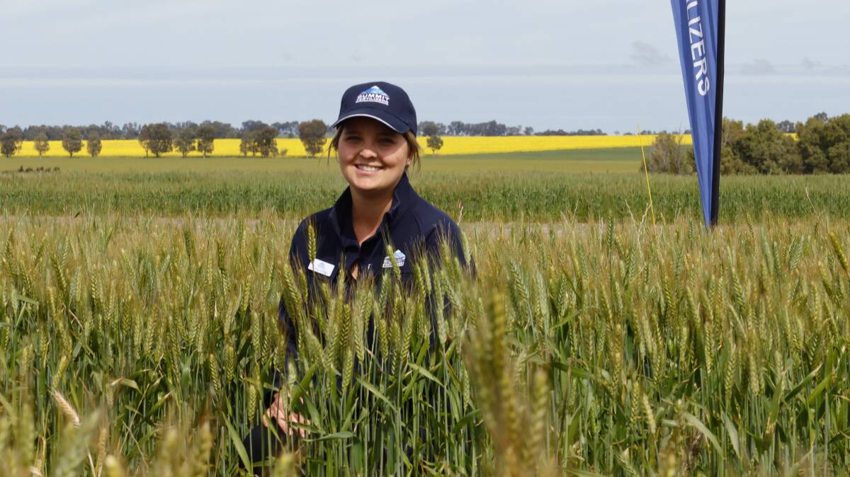 Area manager Saritha Marais presented Summit Fertilisers trial on optimising nitrogen and phosphorus applications on wheat when the budget is limited at the Liebe Group Spring Field Day on September 8.