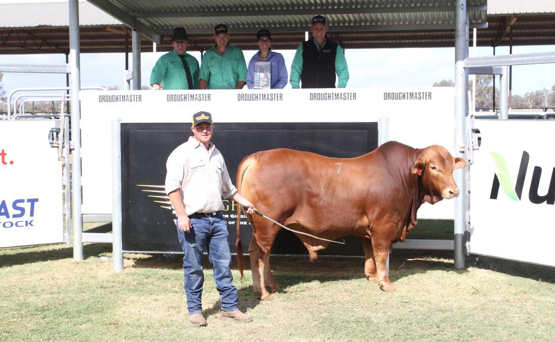 With the $42,500 top-priced bull Munda Reds Golden Boy 4779 (by Oasis A Hudson) at the Munda Reds Droughtmaster second annual on-property bull sale at Gingin on Thursday were auctioneer Dane Pearce (left), Nutrien Ag Solutions stud stock, Rockhampton, Queensland, Nutrien Livestock, pastoral agent Daniel Wood who purchased the bull on behalf on the Paull family, Davis River Pastoral, Nullagine via Newman, top-priced bull sponsor Kylie Meloury, Virbac central WA area sales manager, Nutrien Livestock, pastoral agent Shane Flemming and Munda Reds Glencoe manager Ben Wright.