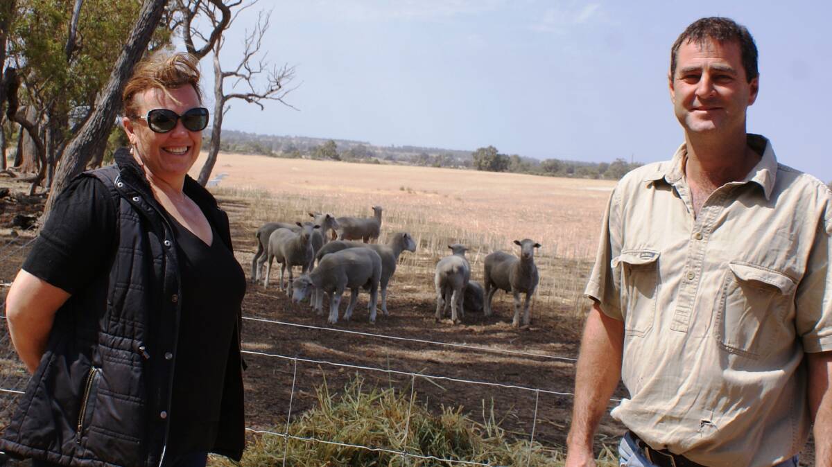 Melissa and Stacy Williams, Kojonup, with some of their lambs. The Stacy family were the WAMMCO Producer of the Month for January.