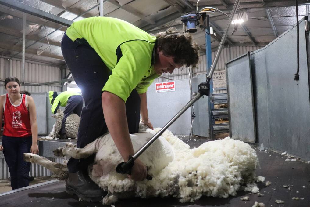 Year 12 Western Australian College of Agriculture, Cunderdin, student Declan Crane, York, does a clean job of shearing at the open day.