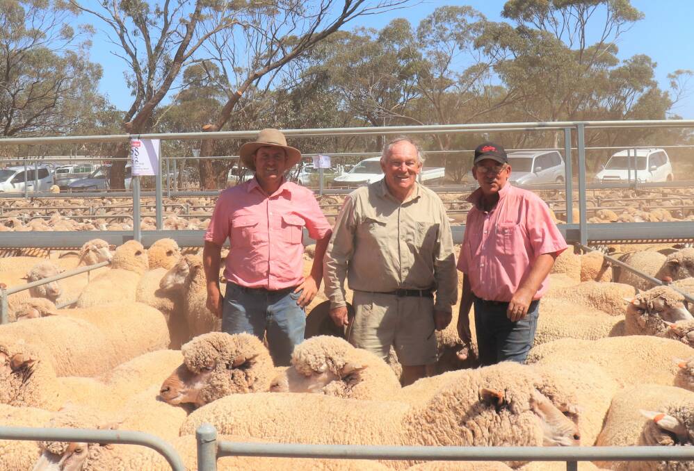 Rhys Fleay (left), Elders Moora, top price buyer Bob Harridge, New Norcia and retired Elders agent Shane Waldeck with the $248 top price line of 138 March shorn, Ejanding blood 2.5yo ewes offered by LV & EM Dodd at the Moora saleyards last week.