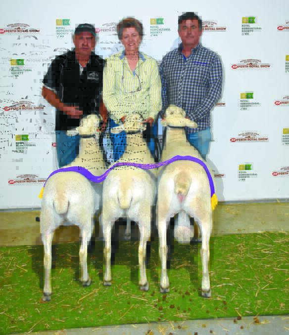  The grand champion British breed breeder's group for one ram and two ewes was exhibited by the Patchomana Wiltipoll stud, North Dandalup. With the winning group were Ross Miller (left), Keysbrook, Jax Cordwell, Serpentine and Patchomama co-principal Jason Goodwin.
