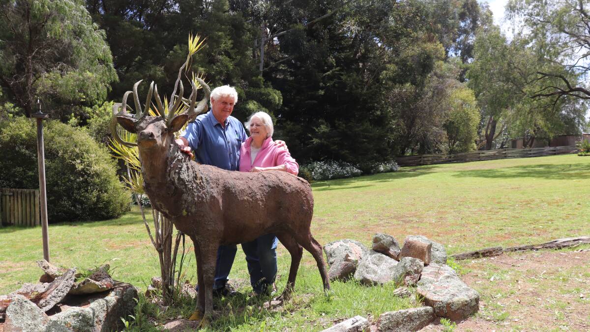  It's the end of an era for deer farmers and owners of Margaret River Venison, Graham and Cynthia Morrison as they have decided to sell their beloved farm and business. This deer statue was hand crafted by Murray Matuschka, New Zealand and marked the beginning of the renowned Margaret River Venison brand.