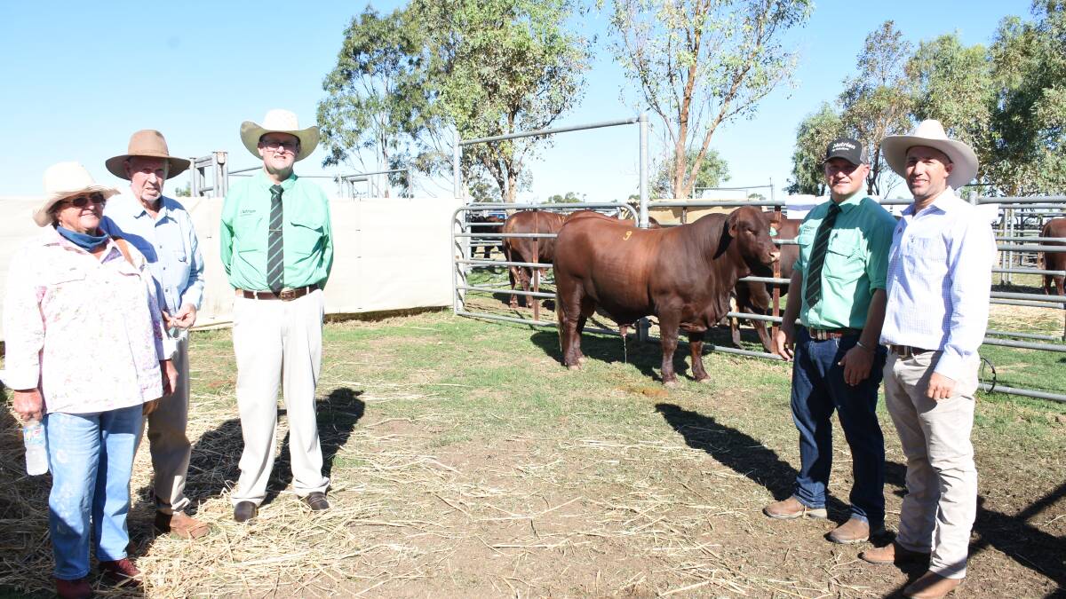 With the $14,000 top price bull from the Biara stud's Santa Gertrudis offering were buyers Deborah (left) and Martin Avery, Mt Stuart station, Nanutarra and Badgingarra, Nutrien Livestock auctioneer Tiny Holly, Nutrien Livestock, Mid West agent Chad Smith and Biara co-principal Glenn Hasleby.