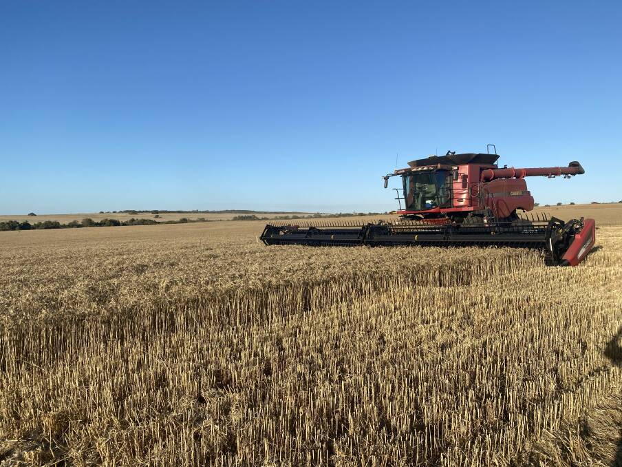 A largescale liming and deep ripping program has been undertaken in recent years, with the farms being cropped to wheat, lupins and canola.