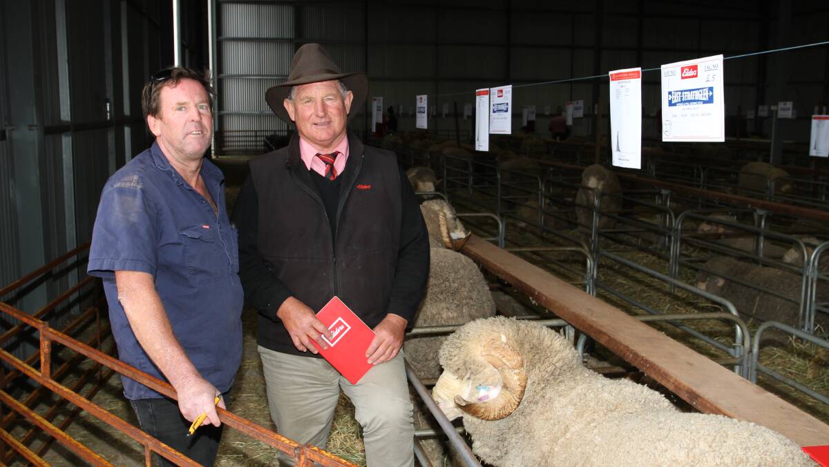  Volume buyer Bill O'Keeffe (left), O'Keeffe Farming, Gnowangerup and flock classer Russell McKay, Elders stud stock, following the East Strathglen sale where the O'Keeffes purchased 20 rams costing to $3700.