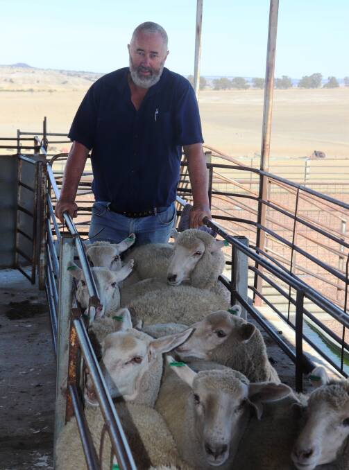Pastoralists and Graziers Association livestock committee chairman Chris Patmore said more competition in the market was a positive thing for producers in WA, as Eastern States restockers, processors and feedlotters were actively buying in WA.