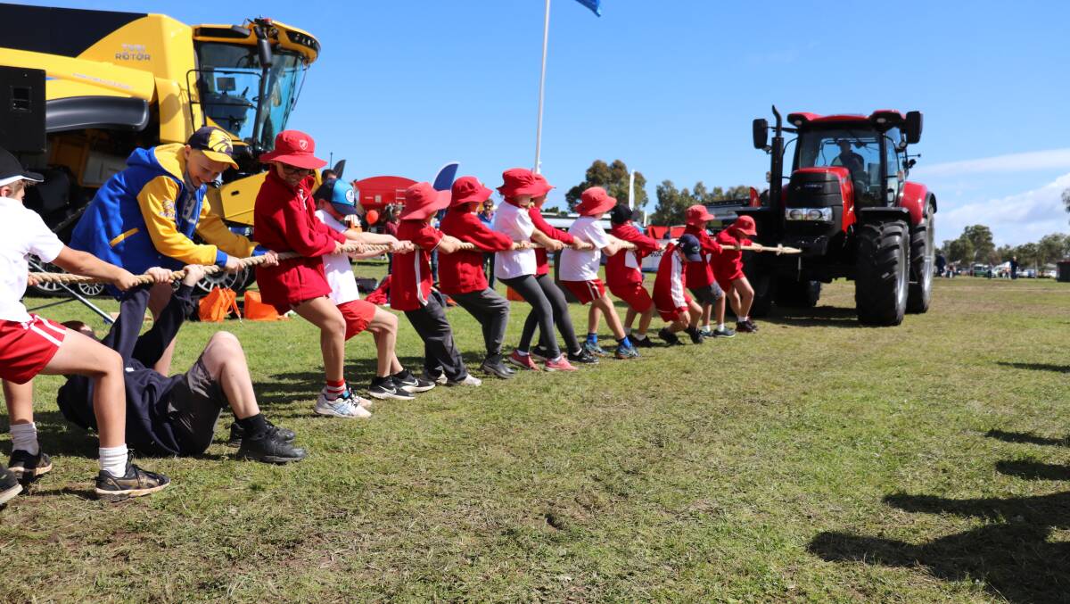 Mingenew Primary School students from years 4, 5 and 6 participating in the RedMac Tractor Pull heats on day one of the McIntosh & Son Mingenew Midwest Expo.
