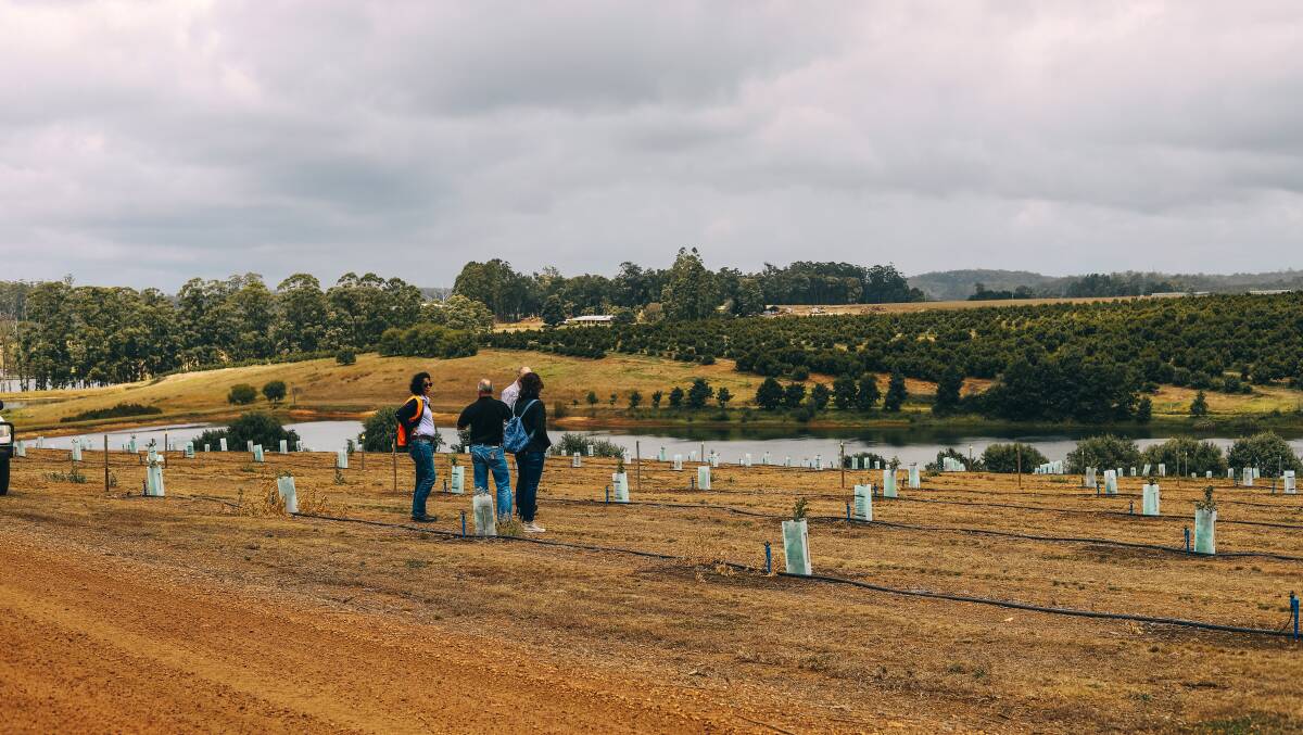 Curtin University Researchers overlooking a dam at The Wine and Truffle Co, Manjimup, discussing the project.