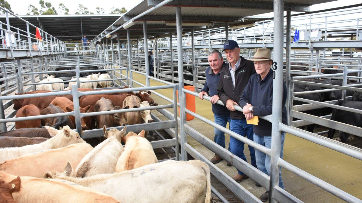 The WA Charolais region awarded a champion ribbon for the best pen of Charolais sired calves in the sale and it went to this pen of 15 steers averaging 318kg from GJ & LJ Hicks, Napier and Narrikup. With the winning pen were competition organiser Andrew Cunningham (left), Bunbury, Charolais Society WA region president Andrew Thompson and David Hicks.