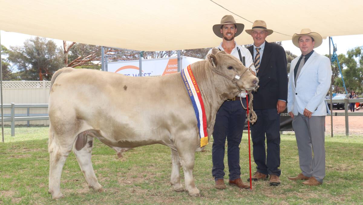 The champion multibreed junior bull and champion British breed junior bull was exhibited by the Southend Murray Grey stud, Katanning. With the bull Southend Thanos were Southend stud co-principal Kurt Wise (left) and judges Peter Collins, Merridale Angus stud, Tennyson, Victoria, and Rob Onley, Candy Mountain Cattle, Noorat, Victoria.