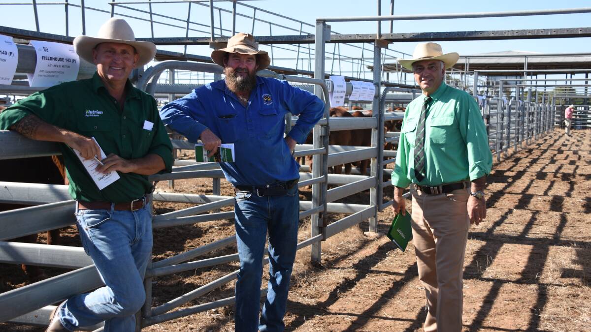 Nutrien Livestock Mid West representative Craig Walker (left), with client Liam Johns, Killara station, Meekatharra and Nutrien Livestock regional manager Leon Giglia. During the sale Mr Johns secured five Fieldhouse bulls to a top of $4500 and an average of $3900.