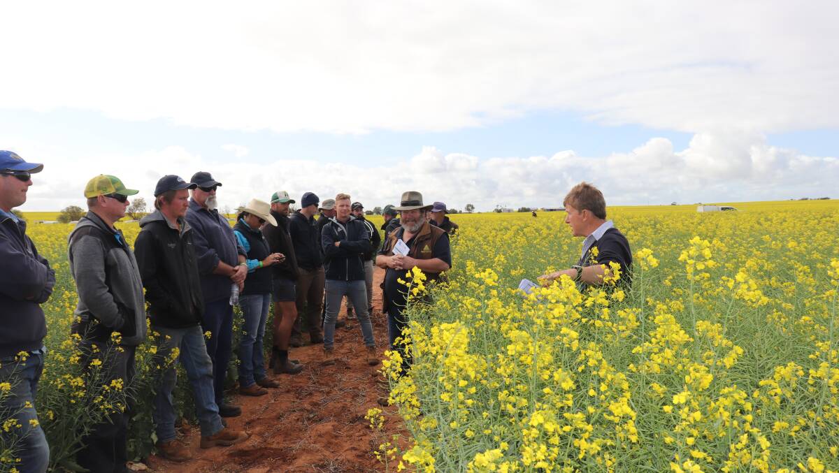 Steve Lamb (right) from Pacific Seeds talking to growers about canola varieties during the Spring Field Day.
