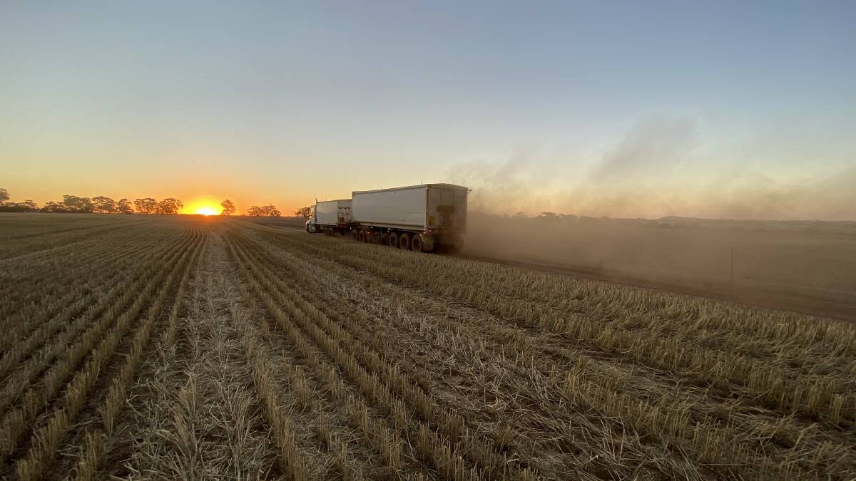This epic shot comes from Kallen Marwick out in York. Harvest is underway starting at the York property barley and the yields range from 3.6 tonnes per hectare to 6t/ha. Mr Marwick said they were expecting one of the best seasons in a while.
