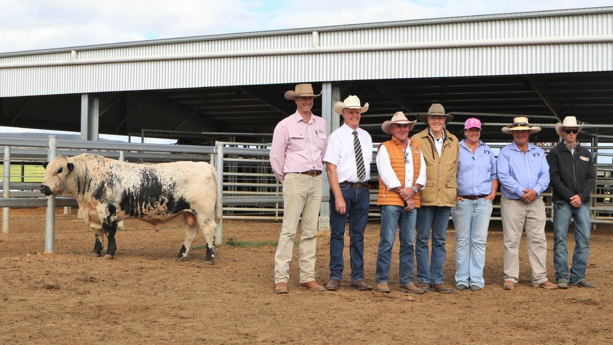 With the $55,000 top-priced bull JAD Rare Cat R109 at JAD Speckle Park fourth annual bull and female sale at Yeoval, New South Wales, last week were Bowyer and Livermore's Todd Clements (left), auctioneer Brian Leslie, Dairy Livestock Services, Arcadia, Victoria, buyers Dennis Powers, David Reid, and Troy Frazer (right), all of Minnamurra Speckle Parks and vendors Amy and Justin Dickens, JAD Speckle Park.