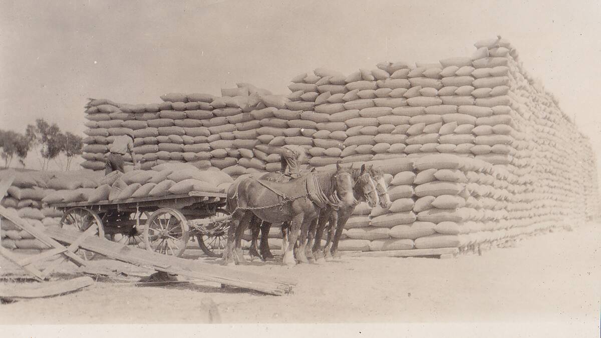Bags of grain being stacked in 1929.